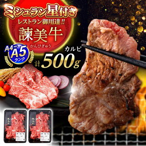 yӂ邳Ɣ[ŁzyÃuhĂňĂz| Jr 500g(250g×2) /  イɂ a   Y  ē ₫ɂ / |s / Гy_[AHAD091]
