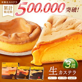 【ふるさと納税】【お中元対象】【最速発送】半熟生カステラ3個セット(プレーン・メープル・ショコラ) / カステラ かすてら 卵 人気 長崎 おやつ / 諫早市 / 株式会社菓秀苑森長 [AHAG003] スピード 最短 最速 発送
