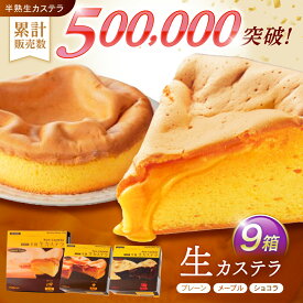 【ふるさと納税】【最速発送】半熟生カステラ3個(プレーン・メープル・ショコラ)×3セット / カステラ かすてら 卵 人気 長崎 / 諫早市 / 株式会社菓秀苑森長 [AHAG008] スピード 最短 最速 発送