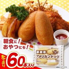 【ふるさと納税】＜選べる発送月＞日本ハム 業務用アメリカンドッグ10パックセット(1パック6本入り)計60本/ ソーセージ そーせーじ 小分け 訳アリ おやつ オヤツ / 諫早市 / 日本ハムマーケティング株式会社 [AHAL007]