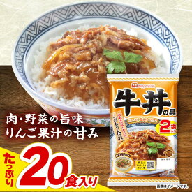 【ふるさと納税】＜選べる発送月＞【小分け】日本ハム 牛丼の具10パックセット(1パック2袋入)計20食分 / 牛肉 牛丼 牛どん レトルト レトルト牛丼 小分け / 諫早市 / 日本ハムマーケティング株式会社 [AHAL010]