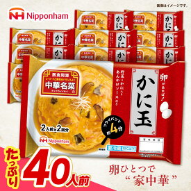 【ふるさと納税】＜選べる配送月＞中華名菜 かに玉 (2人前×2回分) 10個セット　/ 中華 かに玉 カニタマ 惣菜 冷蔵 簡単調理 晩御飯 フライパン調理 ワンパンメニュー / 諫早市 / 日本ハムマーケティング株式会社[AHAL022]