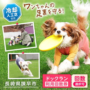 yӂ邳Ɣ[ŁzhbOp(6) / hbO  { p p`Pbg 񐔌 ybg / |s / Д[AHAP041]