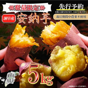 yӂ邳Ɣ[Łzy2025N11菇^s\zy󂠂z͔|Ԓ_sgp [ 5kg /  C  ܂ ܈ Tc}C [ XC[c 󂠂 A / |