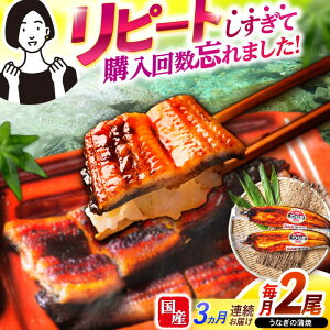 yӂ邳Ɣ[Łzy3ցzy|WzȂ2 / Ȃ V EiM  ^ / |s / |W[AHAT024]
