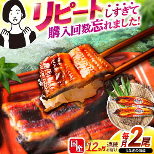 yӂ邳Ɣ[Łzy12ցzy|WzȂ2 / Ȃ V EiM  ^ / |s / |W[AHAT026]