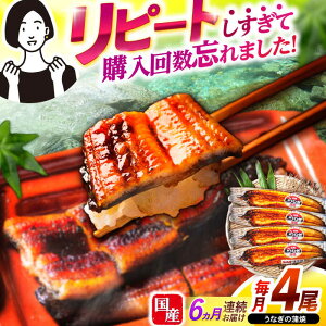yӂ邳Ɣ[Łzy6ցzy|WzȂ4 / Ȃ V EiM  ^ / |s / |W[AHAT034]