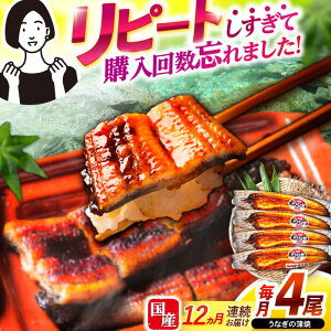 yӂ邳Ɣ[Łzy12ցzy|WzȂ4 / Ȃ V EiM  ^ / |s / |W[AHAT035]