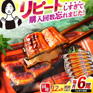 yӂ邳Ɣ[Łzy12ցzy|WzȂ6 / Ȃ V EiM  ^ / |s / |W[AHAT038]