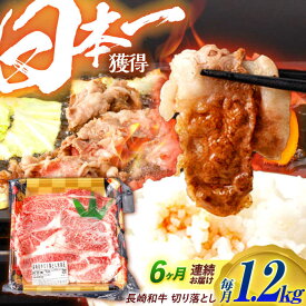 【ふるさと納税】【6回定期便】長崎和牛 切り落とし 1.2kg（400g×3）肩ロース・モモ・カタ・バラ使用 / 牛肉 ぎゅうにく 肉 和牛 国産牛 切落し / 諫早市 / 西日本フード株式会社長崎和牛[AHAV026]