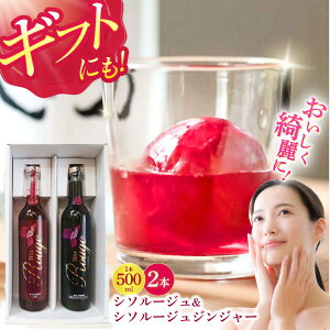 yӂ邳Ɣ[ŁzyőzV\[W500ml  V\[WWW[500ml Zbg / h  V\ Ԃ W[X / _ [AHAY001] ŒZ ő Xs[h 