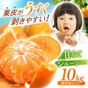 yӂ邳Ɣ[Łzy2025NV[Y^s\z|Y݂ 10kg / ݂ ~J  t[c ӂ[ ʕ  10kg / |s / _[AHAY028]