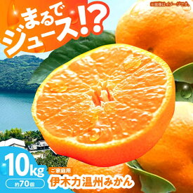 【ふるさと納税】※【2027年1月より順次発送／先行予約】伊木力温州みかん 10kg（ご家庭用）/ みかん ミカン 蜜柑 フルーツ 果物 / 諫早市 / 末永果樹園 [AHBD001]