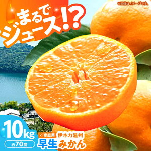 yӂ邳Ɣ[Łzy2025N12(ߘa7N)^s\zɖ͉ؗB݂10kg(ƒpA) / ݂ B݂ k  ~J ʕ / |s / iʎ [AHBD002]