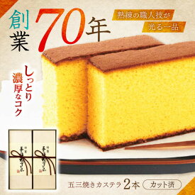 【ふるさと納税】【お中元対象】特製五三焼かすてら詰め合わせ 2号セット / カステラ かすてら 五三焼 スイーツ 菓子 / 諫早市 / 株式会社異人堂 [AHBF004]