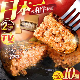 【ふるさと納税】ながさきふわとろハンバーグ 150g×10個入 / ハンバーグ はんばーぐ 肉 牛肉 豚肉 おかず 惣菜 / 諫早市 / ワールド・ミート有限会社[AHBG009]