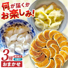 【ふるさと納税】＜選べる配送月＞餃子 3種おまかせ便 / ギョウザ ぎょうざ 餃子 焼餃子 水餃子 冷凍 / 諫早市 / 餃子のかわしも[AHBM004]