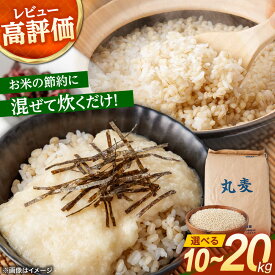 【ふるさと納税】もち麦よりも『ぷりっ』とした弾力〈選べる容量〉長崎県産 丸麦 10kg 20kg / 麦 むぎ 雑穀 雑穀米 麦ごはん 麦飯 麦みそ 食物繊維 長崎県産 米 こめ コメ ※ / 諫早市 / 有限会社伊東精麦[AHBU005]
