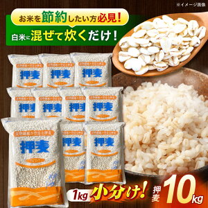 yӂ邳Ɣ[Łzyőzu䓇v1kg×10 v10kg /  ނ  ͂ X G G H@ 茧Y   R  / |s / LЈɓ[AHBU009]ő Xs[