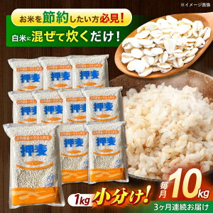 yӂ邳Ɣ[Łzy3ցzu䓇v1kg×10 v10kg /  ނ  ͂ X G G H@  茧Y   R  / |s / LЈɓ[AHBU010]