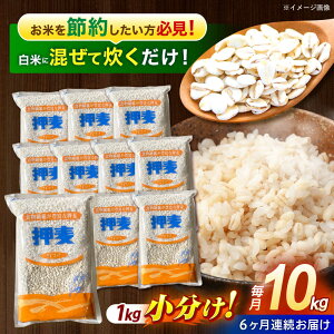 yӂ邳Ɣ[Łzy6ցzu䓇v1kg×10 v10kg /  ނ  ͂ X G G H@  茧Y   R  / |s / LЈɓ[AHBU011]