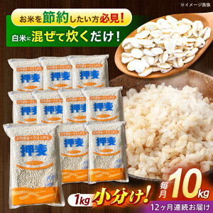 yӂ邳Ɣ[Łzy12ցzu䓇v1kg×10 v10kg /  ނ  ͂ X G G H@  茧Y   R  / |s / LЈɓ[AHBU012]