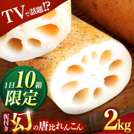 【ふるさと納税】幻の唐比れんこん 2kg / れんこん レンコン 蓮根 やさい 野菜 / 諫早市 / 農事組合法人スマイル・ライフ [AHCA002]