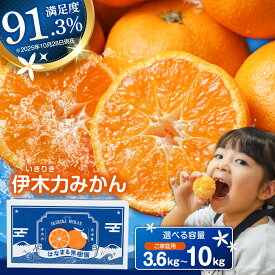 【ふるさと納税】〈1週間以内に発送〉伊木力みかん 5kg 10kg 3.6kg / みかん ミカン 蜜柑 オレンジ mikan 柑橘 かんきつ フルーツ ふるーつ 果物 くだもの 訳あり / 諫早市 / 山野果樹園 [AHCF002]【諫早市市制施行20周年特別企画】