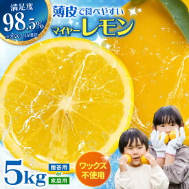 【ふるさと納税】マイヤーレモン 5kg / レモン れもん 檸檬 柑橘 フルーツ ふるーつ 果物 くだもの / 諫早市 / 山野果樹園 [AHCF004]
