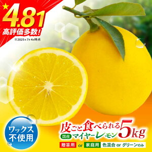 yӂ邳Ɣ[Łzy2025Nzsr[Ly[{t}C[ 5kg /   EG k t[c ӂ[ ʕ  / |s / Rʎ [AHCF004]