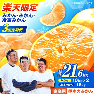 【ふるさと納税】楽天限定【3回定期便】※【11月より発送/先行予約】《レビューキャンペーン実施中》伊木力みかん (家庭用) 10kg・10kg・冷凍みかん1.6kg(400g×4) / みかん ミカン 蜜柑 柑橘 フ