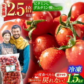 【ふるさと納税】冷凍宮トマト 1.5kg / 冷凍 トマト とまと 野菜 冷凍野菜 ミニトマト / 諫早市 / 宮下農園[AHCG033]
