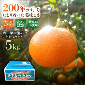 【ふるさと納税】伊木力産　森山果樹園のこだわりみかん 5kg / みかん ミカン 柑橘 伊木力みかん 温州みかん / 諫早市 / 森山果樹園[AHCO008]