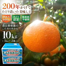 【ふるさと納税】伊木力産　森山果樹園のこだわりみかん　10kg(5kg×2) / みかん ミカン 柑橘 伊木力みかん 温州みかん 10kg / 諫早市 / 森山果樹園[AHCO010]