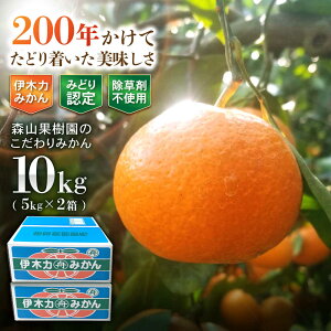 �y�ӂ邳�Ɣ[�Łz�ɖ͎ؗY�@�X�R�ʎ����̂������݂���@10kg(5kg×2) / �݂��� �~�J�� ���k �ɖ݂ؗ͂��� ���B�݂��� 10kg / �|���s / �X�R�ʎ���[AHCO010]