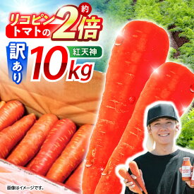 【ふるさと納税】※【2027年1月上旬より順次発送／先行予約】【訳あり】【甘みと栄養たっぷり！】真っ赤な人参「紅天神」 10kg / にんじん ニンジン 人参 やさい 野菜 訳あり 訳アリ わけあり ワケアリ / 諫早市 / 滝商店株式会社[AHCU006]