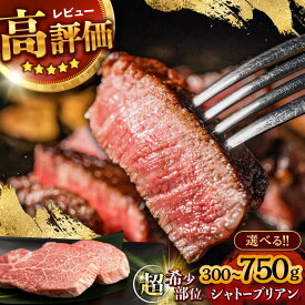 【ふるさと納税】【お歳暮ギフト】〈選べる容量〉希少部位 A5 長崎和牛 シャトーブリアン 300g 450g 600g 750g / ヒレ ひれ ヒレステーキ ステーキ すてーき しゃとーぶりあん / 諫早市 / 野中精肉店[AHCW110]