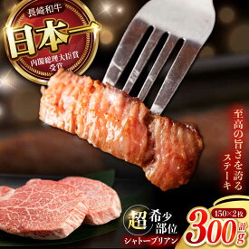 【ふるさと納税】【お中元対象】【唯一無二の贅沢！】長崎和牛 シャトーブリアン 300g(150g×2) / ヒレ ひれ ヒレステーキ ステーキ すてーき しゃとーぶりあん / 諫早市 / 野中精肉店[AHCW110]