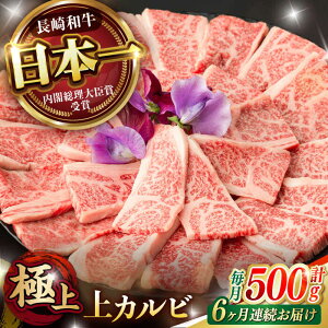 yӂ邳Ɣ[Łzsr[Ly[{ty6ցzē  Jr 500g / a A5N Lv BBQ o[xL[ / |s / 쒆X[AHCW053]