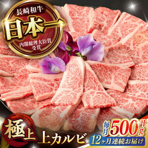 yӂ邳Ɣ[Łzsr[Ly[{ty12ցzē  Jr 500g / a A5N Lv BBQ o[xL[ / |s / 쒆X[AHCW054]
