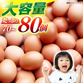 【ふるさと納税】産直枇杷たまご 5kg / 卵 たまご 鶏卵 国産 玉子 枇杷 / 諫早市 / 長崎県養鶏農業協同組合[AHCX003]
