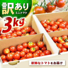 【ふるさと納税】【訳あり】ミニトマト 3kg / 訳あり 訳アリ ミニトマト プチトマト トマト とまと / 諫早市 / 原農園 [AHCZ001]