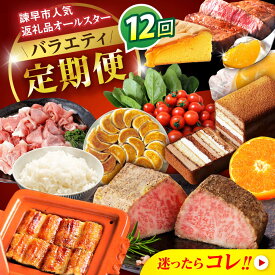 【ふるさと納税】【諫早市市制施行20周年特別企画】【12回定期便】バラエティ定期便 諫早市人気返礼品オールスター / 豚肉 米 野菜 ローストビーフ スイーツ うなぎ ゼリー カステラ 卵 餃子 みかん ステーキ / 諫早市[AHDC041]