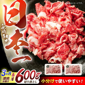 【ふるさと納税】【3回定期便】長崎和牛 切落し 300g×2パック / 長崎和牛 切落し 和牛 国産牛 牛肉 / 諫早市 / 有限会社長崎フードサービス[AHDD006]