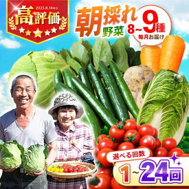 【ふるさと納税】＜選べる配送回数＞【1回～24回定期便】諫早産 野菜の詰め合わせ 8〜9品目程度 / 季節 旬 野菜 やさい 春野菜 夏野菜 秋野菜 野菜セット 詰め合わせ 野菜定期 野菜定期便 定期便 / 諫早市 / 肥前グローカル株式会社 [AHDI003]