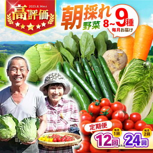 【12回・24回定期便】諫早産 野菜の詰め合わせ 8〜9品...