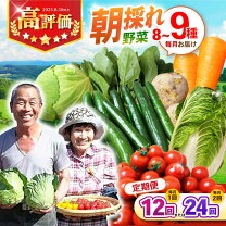 楽天市場】ふるさと納税 野菜 定期便 12回の通販