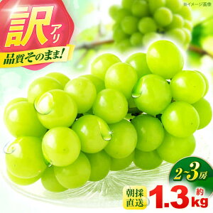 yӂ邳Ɣ[Łzy󂠂EƒpzVC}XJbg 1.3kg(2`3[) / t[c ʕ Ԃǂ  }XJbg VC}XJbg 󂠂 A / |s / OO[J[AHDI