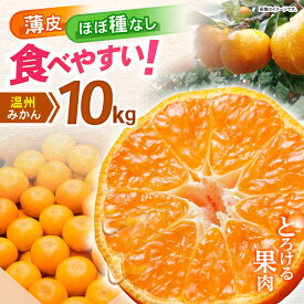 【ふるさと納税】諫早市産 温州みかん 10kg / みかん ミカン 蜜柑 オレンジ フルーツ ふるーつ 果物 くだもの 10kg / 諫早市 / 肥前グローカル株式会社[AHDI010]