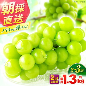 �y�ӂ邳�Ɣ[�Łz�y2�����ցz���y2026�N9����菇�������^��s�\��z�V���C���}�X�J�b�g ��1.3kg(2�`3�[) �ƒ�p / �t���[�c �t���[�c����� �ʕ� �ʕ������ �Ԃǂ� �}�X�J�b�g ���Ⴂ���